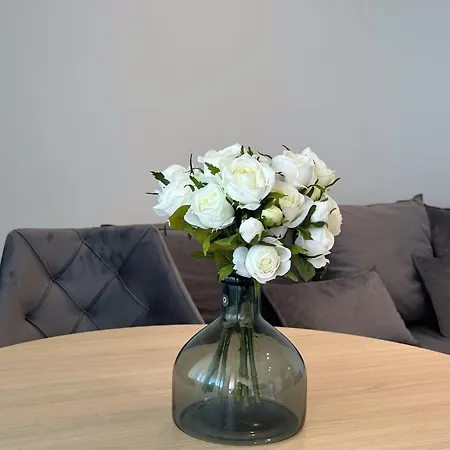 Διαμέρισμα Central Baska Voda Apartments
