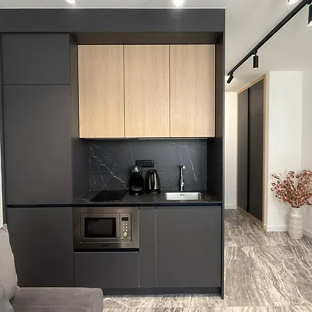 Central Baska Voda Apartments Apartment