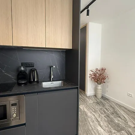 Central Baska Voda Apartments 公寓 巴什卡沃达